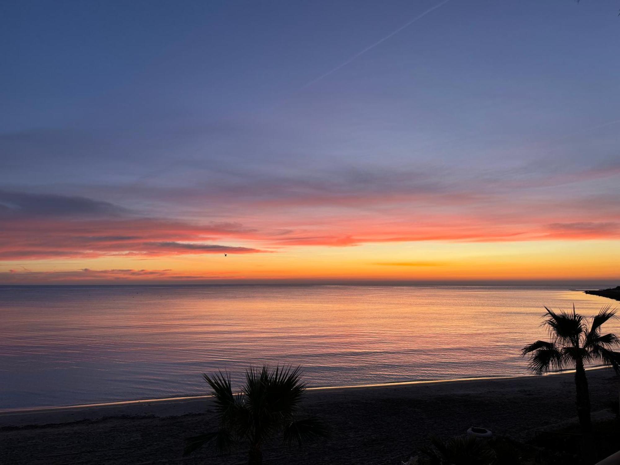Espectacular Apartamento A Pie De Playa En Chalet Roquetes Alicante Exterior foto